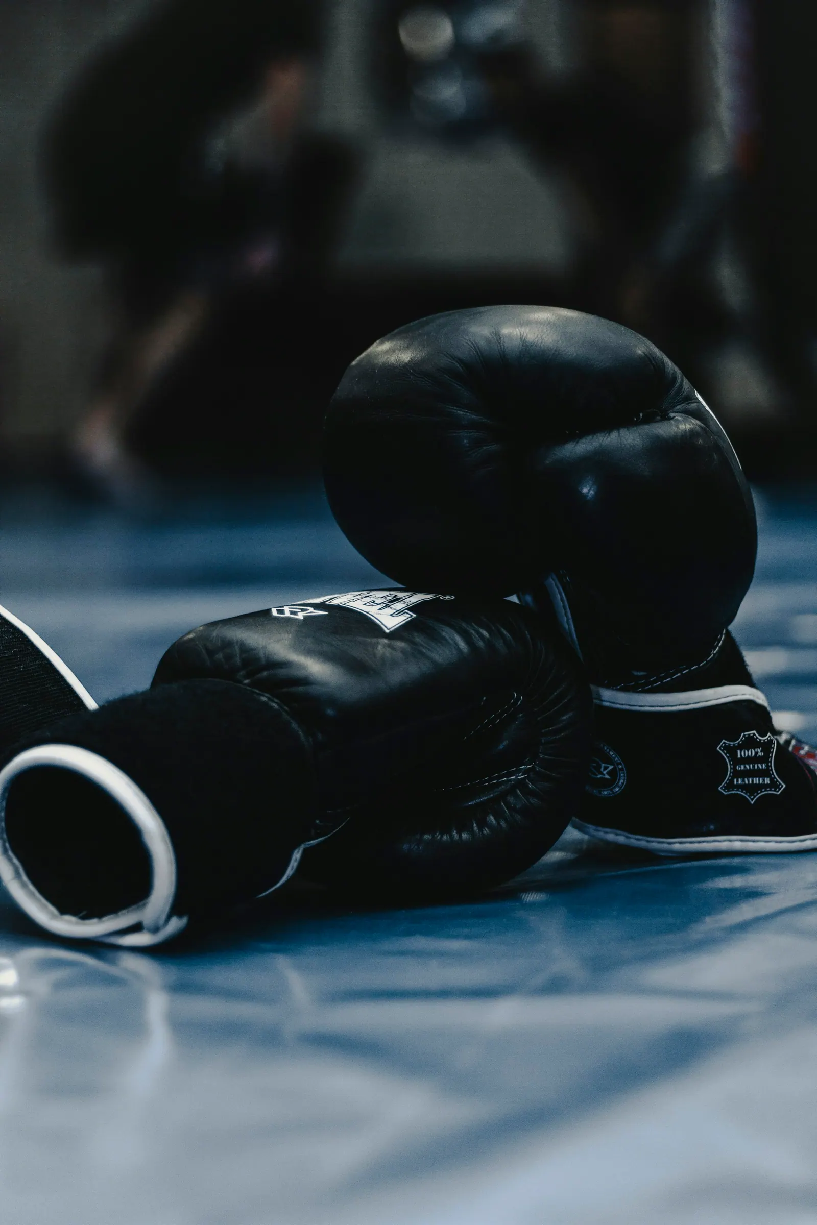 Par de luvas de boxe apoiado no tatame
