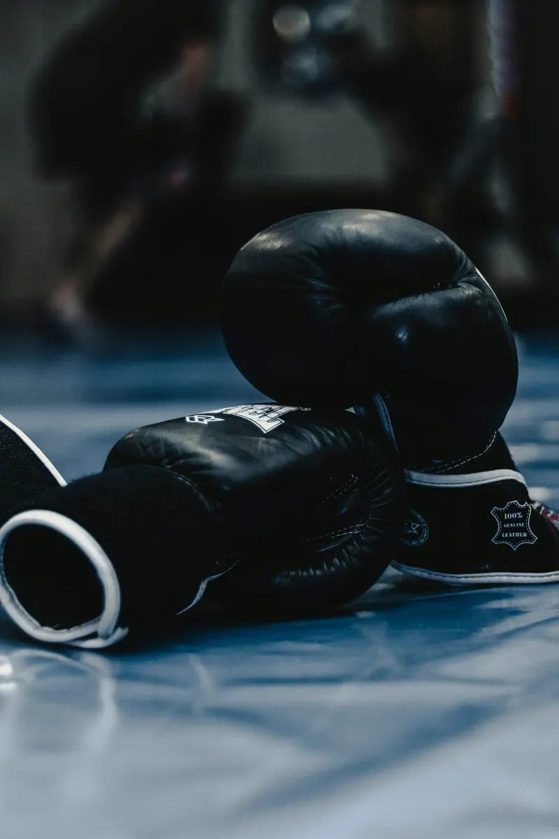 Luvas de boxe sobre o tatame