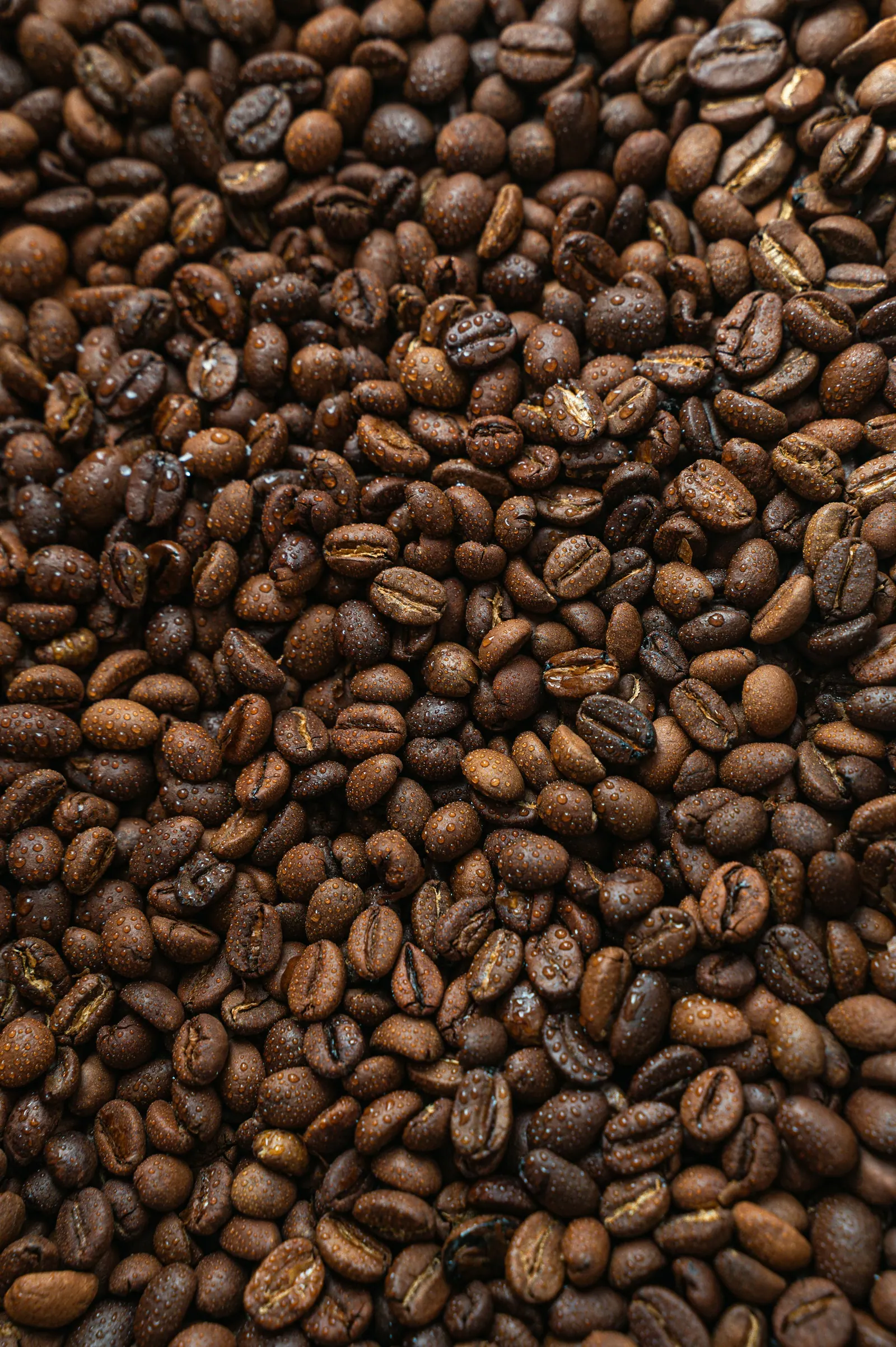 Grãos de café torrados em close
