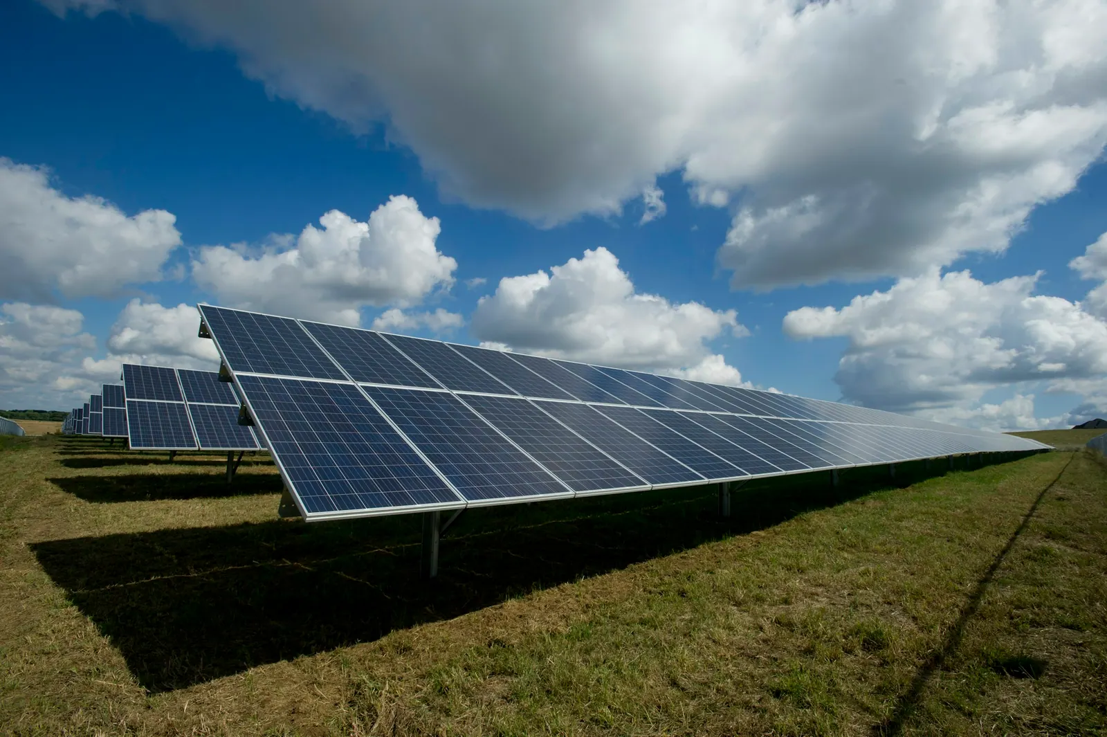 Fileiras de painéis solares instalados no solo em área rural