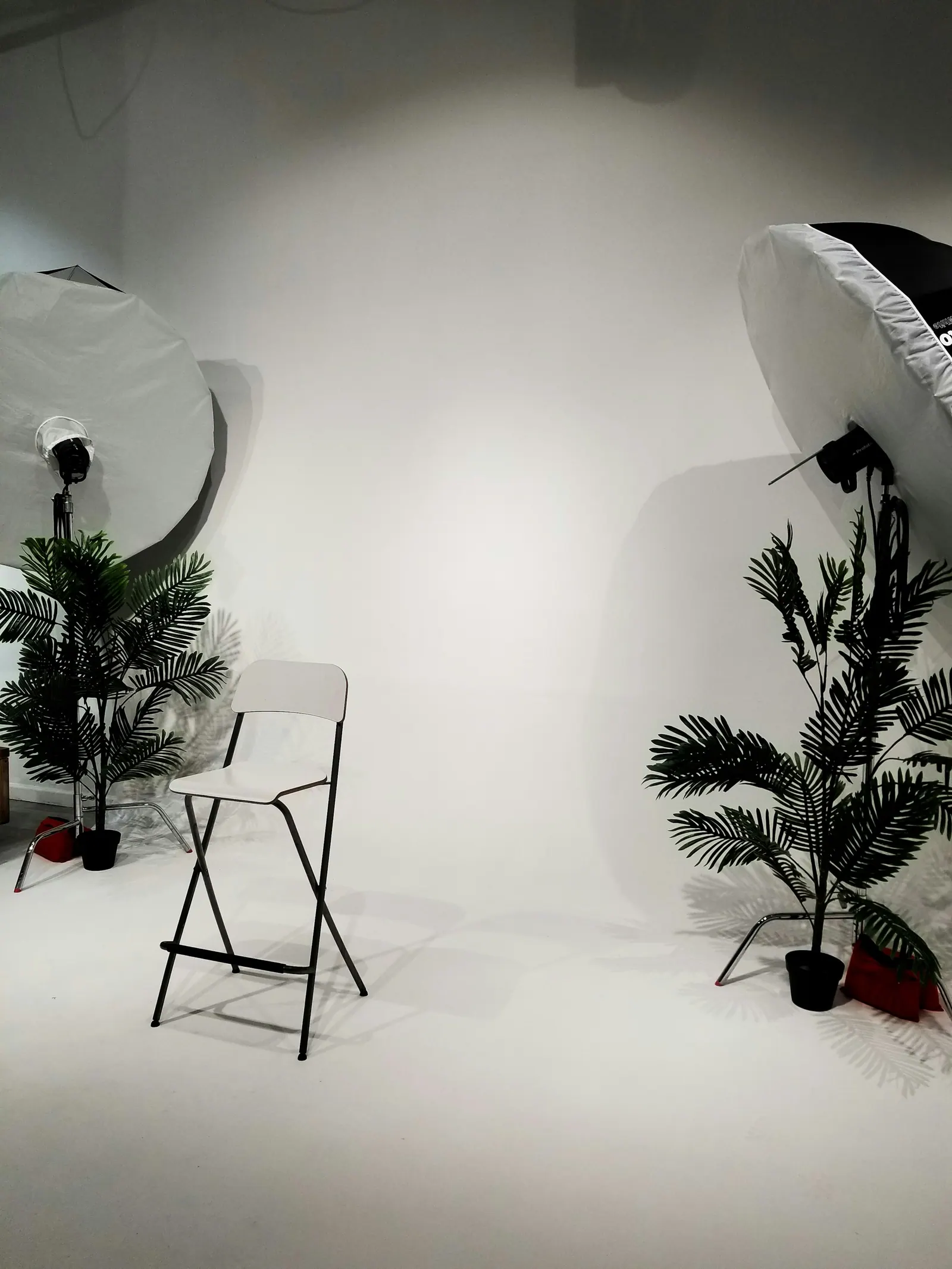Estúdio claro com banqueta, plantas e luz entrando pela janela
