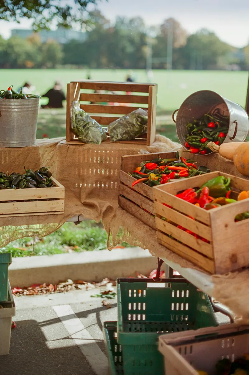Caixotes de madeira com verduras em feira no campo