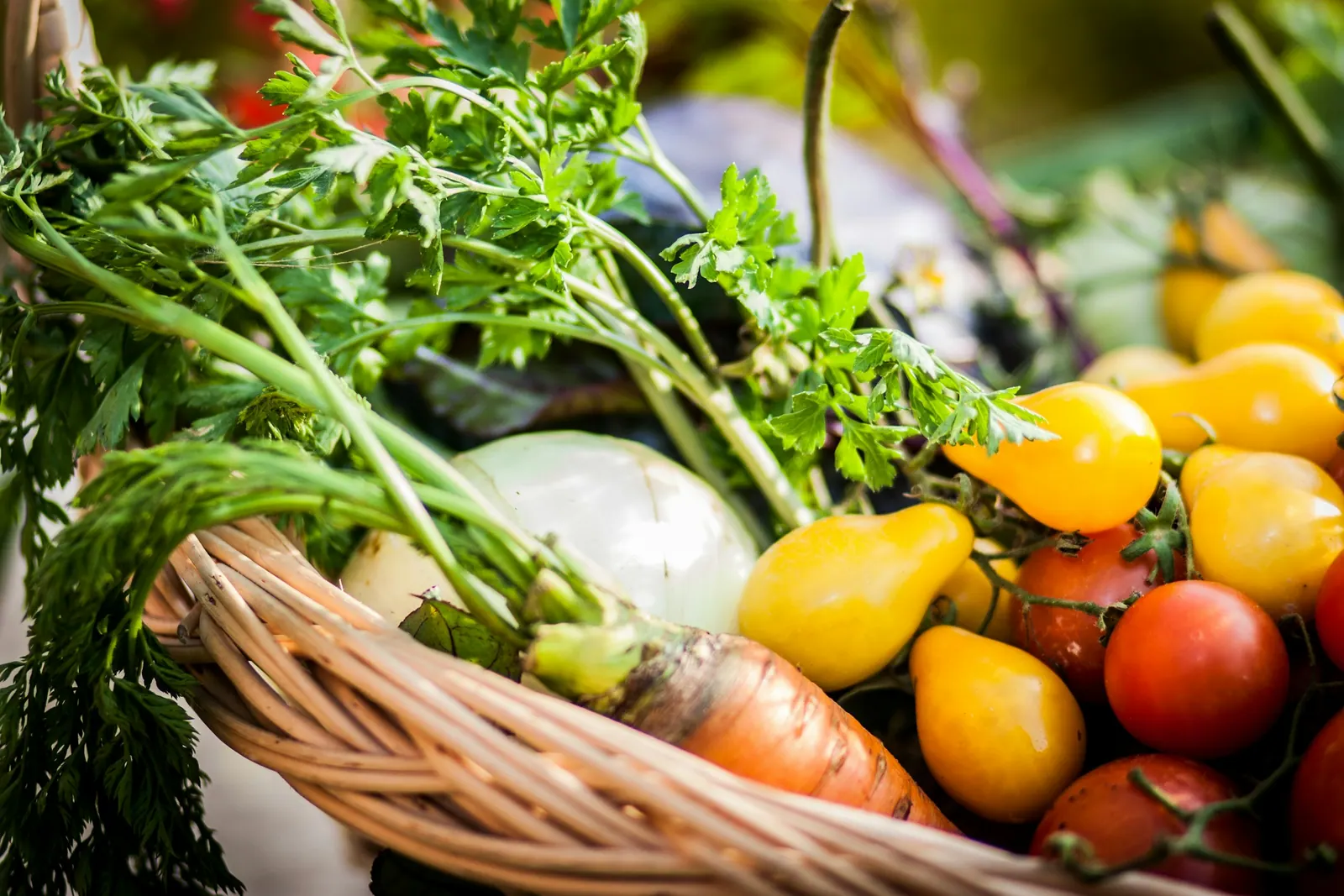 Cesta com tomates, pimentões e verduras da colheita