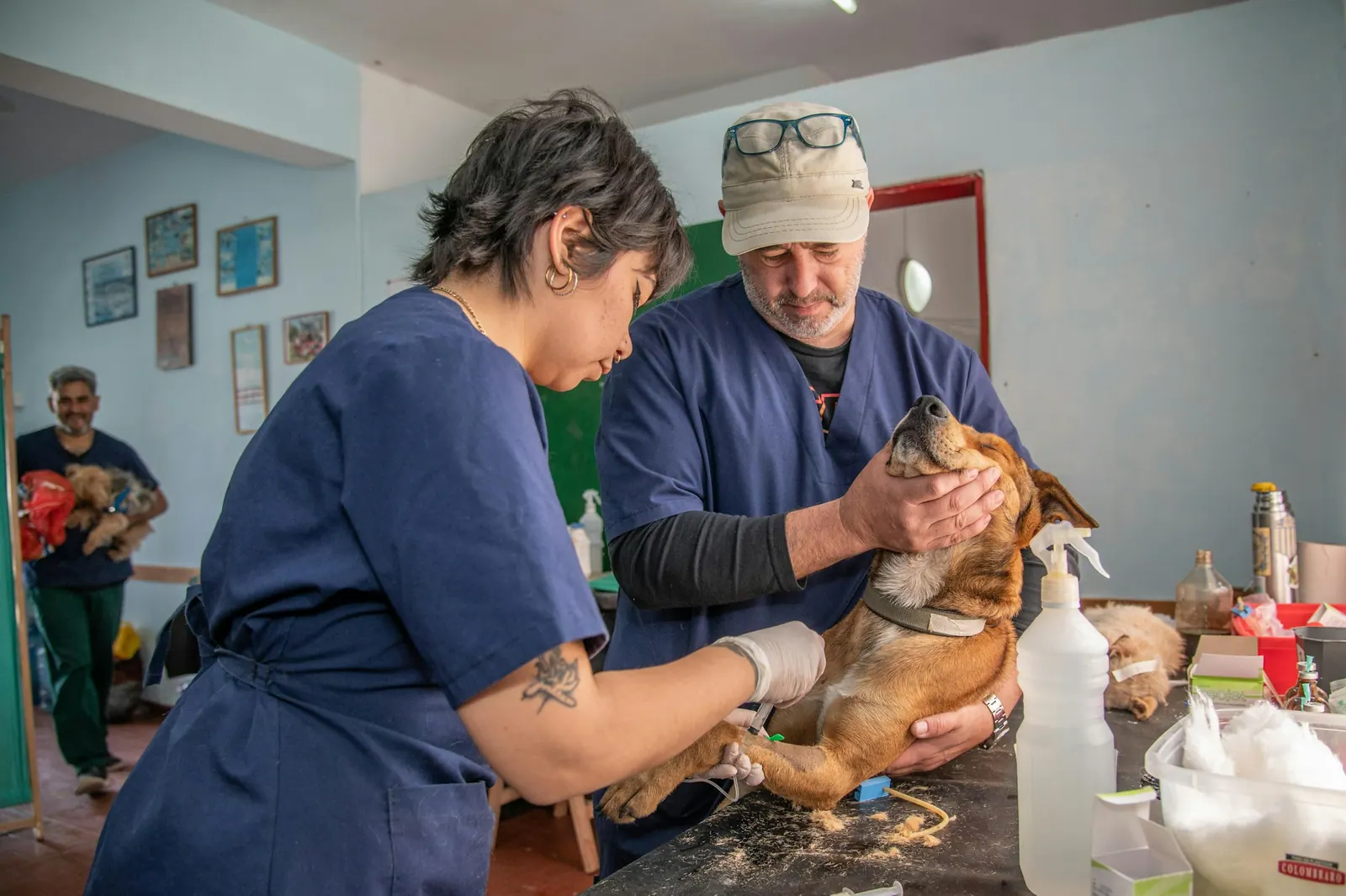 Equipe cuidando de um cão pequeno na mesa de atendimento