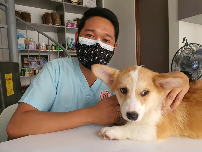 Profissional sorrindo com um corgi no colo