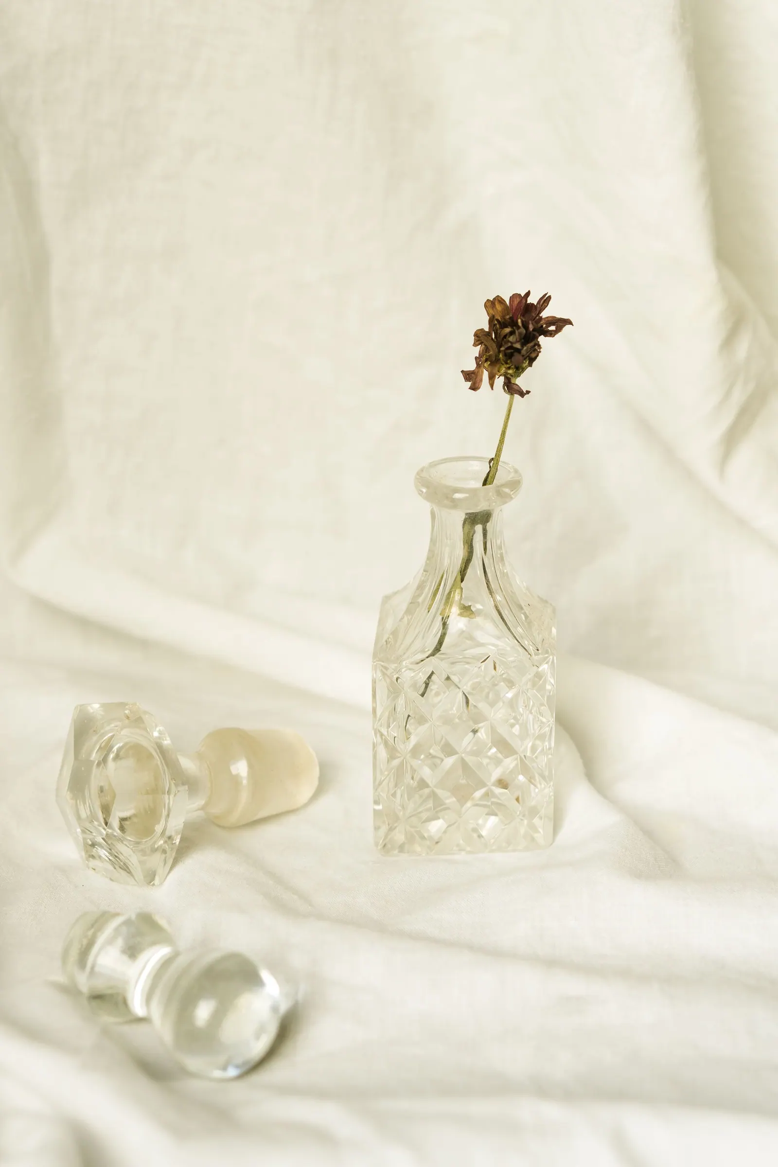 Frasco de cristal com flor seca