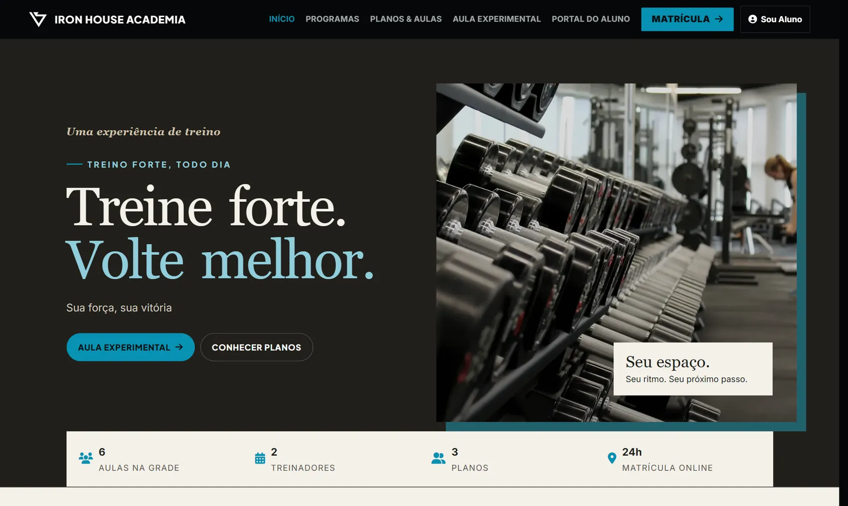 Site público do Vatse Academia no computador