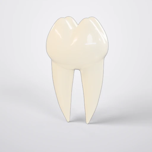 Modelo 3D: Dente molar
