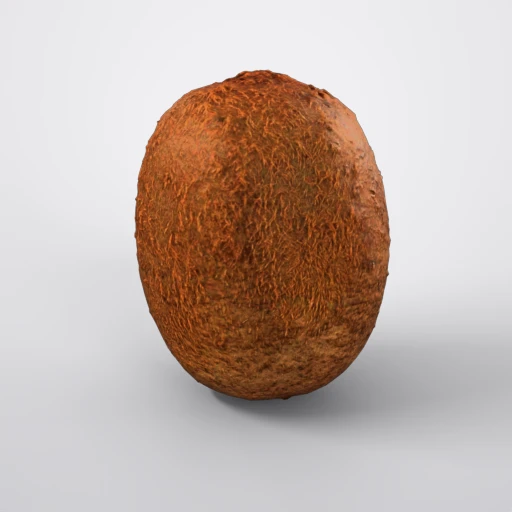 Modelo 3D: Kiwi